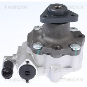 Servopumpe von TRISCAN
