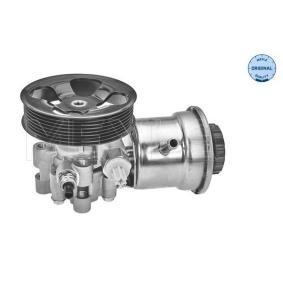 Servopumpe 30-14 631 0004