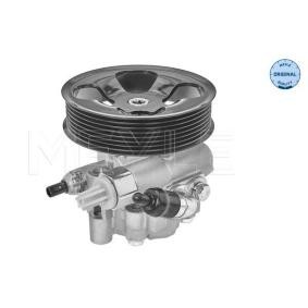 Servopumpe 30-14 631 0008