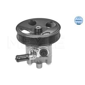 Servopumpe 36-14 631 0004