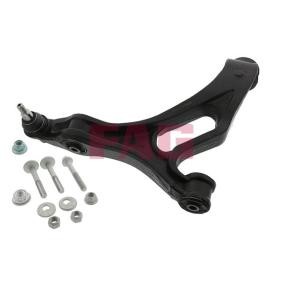 Querlenker 821 0668 10 von FAG günstig für 161,27 € online kaufen