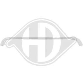 Zier- / Schutzleiste, Kühlergitter 1206042