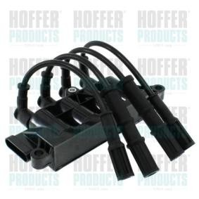 Achetez des Bobine d'allumage HOFFER 8010395E à prix pour 115,00 €