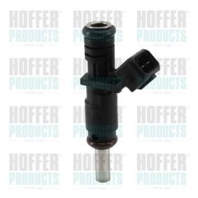 Compre Injector da HOFFER H75117081 a um preço baixo por 161,15 €