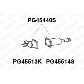 RENAULT Partikelfilter (DPF) von VENEPORTE