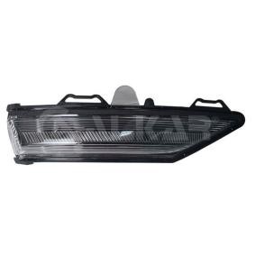 Blinker 6202743