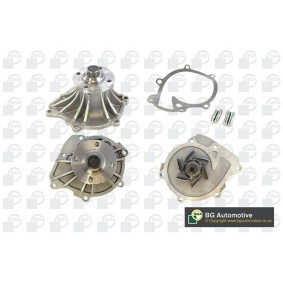 Wasserpumpe von BGA CP9507