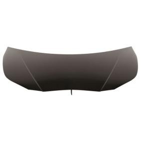 Motorhaube 6803-00-8189280P
