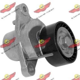 Compre Rolo tensor, correia trapezoidal estriada da AUTOKIT 03.82081 a um preço baixo por 212,55 €
