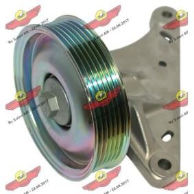 Achetez des Poulie renvoi / transmission, courroie trapézoïdale à nervures de chez AUTOKIT en ligne pour Scudo III Van à prix modérés