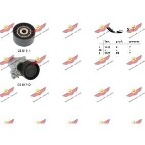 Achetez des Jeu de courroies trapézoïdales à nervures AUTOKIT 06.0100 à prix pour 187,58 €