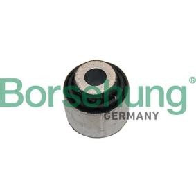 VOLKSWAGEN Lagerung, Lenker von Borsehung