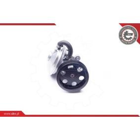 Achetez des Pompe à vide de freinage ESEN SKV 18SKV020 à prix pour 181,77 €