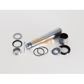 Achetez des Kit d'assemblage, pivot de fusée d'essieu CEI 198.386 à prix pour 60,37 €