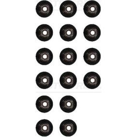 Comprar Juego de juntas, vástago de válvula de REINZ 12-17500-01 a bajo precio de 34,44 €
