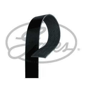 Acquista Cinghia servizi da GATES 12PK1300HD a buon mercato per soli 28,22 €