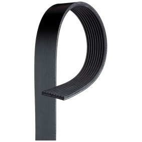 Acquista Cinghia servizi da GATES 9PK1795HD a buon mercato per soli 24,93 €