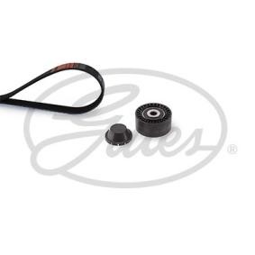 Achetez des Kit de courroie d'accessoire de chez GATES en ligne pour C3 III (SX) à prix modérés