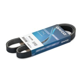 Acquista Cinghia servizi da DAYCO 6PK1070PM a buon mercato per soli 14,88 €