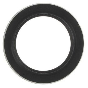 Osta Akselitiiviste, nokka-akseli MAHLE ORIGINAL:llä 48392 edullisesti hintaan 12,66 €
