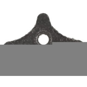 Osta Tiiviste, EGR-venttiili MAHLE ORIGINAL:llä G31479 edullisesti hintaan 6,56 €
