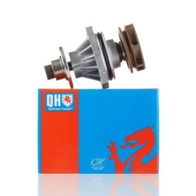 Achetez des Pompe à eau QUINTON HAZELL QCP3096 à prix pour 34,90 €
