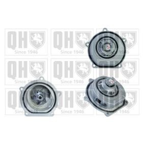 Achetez des Pompe à eau QUINTON HAZELL QCP3125 à prix pour 44,72 €