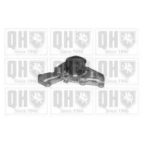 Wasserpumpe QCP3281 von QUINTON HAZELL günstig für 94,41 € online kaufen