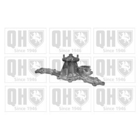 Wasserpumpe von QUINTON HAZELL QCP3693