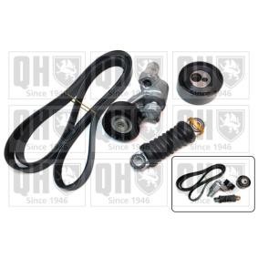 Achetez des Jeu de courroies trapézoïdales à nervures QUINTON HAZELL QDK65 à prix pour 151,80 €