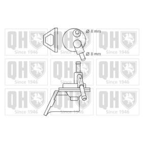 Kraftstoffpumpe QFP6