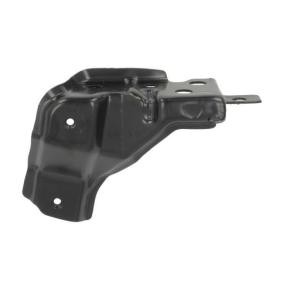 Halter, Kotflügel 7802-03-8189381P