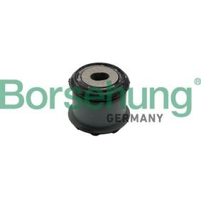 Acquista Supporto motore da Borsehung B19105 a buon mercato per soli 24,21 €