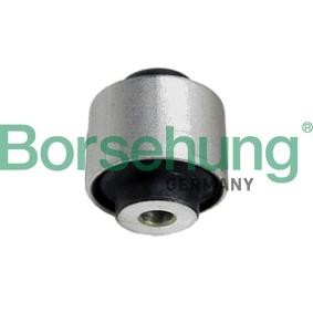 AUDI Lagerung, Lenker von Borsehung