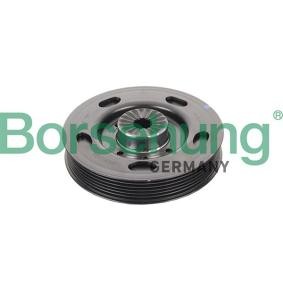 Acquista Puleggia cinghia albero a gomiti da Borsehung B19120 a buon mercato per soli 68,75 €