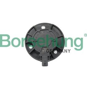 Acquista Magnete centrale, Regolazione albero a camme da Borsehung B19124 a buon mercato per soli 59,81 €