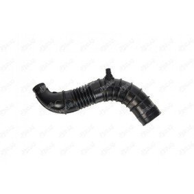 Acquista Tubo aspirazione filtro aria da IBRAS 11767 a buon mercato per soli 27,27 €