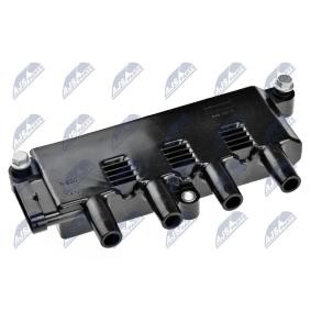 Zündspule ECZ-AR-005 CHRYSLER YPSILON von NTY