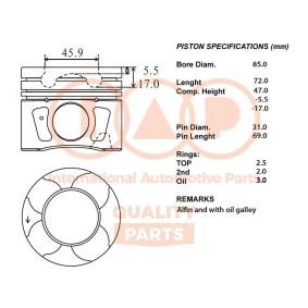 Kolben 100-22032