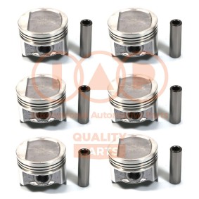 Comprar Pistón de IAP QUALITY PARTS 101-10040 a bajo precio de 558,95 €