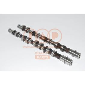 Nockenwellensatz 124-11070K