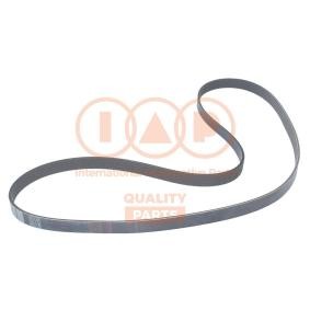 Keilrippenriemen von IAP QUALITY PARTS