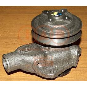 Achetez des Pompe à eau IAP QUALITY PARTS 150-10010 à prix pour 359,48 €