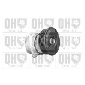 Acquista Braccio tenditore, Cinghia Poly-V da QUINTON HAZELL QTA1033 a buon mercato per soli 115,68 €