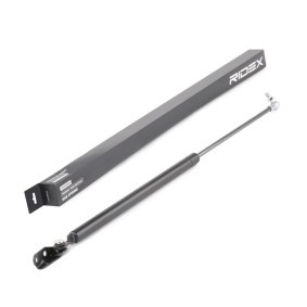 Köp Gasfjäder till baklucka av RIDEX 219G0933 till det låga priset 298,59 kr