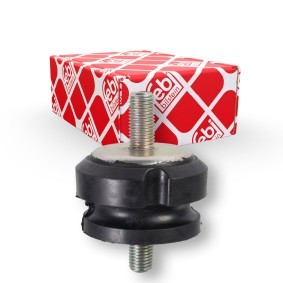 Lagerung, Kühler 106969 für DAF