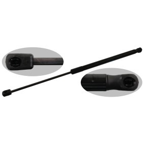 Achetez des Vérin de coffre FEBI BILSTEIN 47049 à prix pour 31,33 €