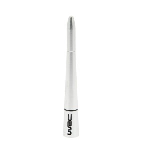 Antenne von WRC
