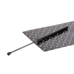 Köp Gasfjäder, sufflett av RIDEX 1207G0005 till det låga priset 342,53 kr
