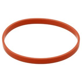 Dichtung, Ansaugkrümmergehäuse 576.100 von ELRING günstig für 6,55 € online kaufen